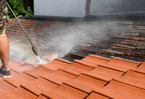 Best Pressure Washing Driveway  in Fife, WA