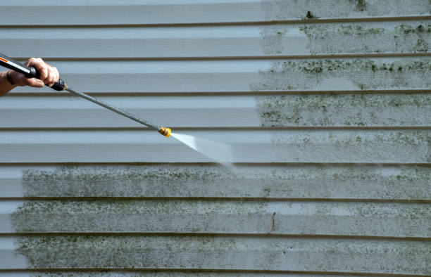 Best Residential Pressure Washing Services  in Fife, WA