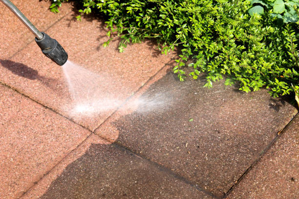 Best Pressure Washing Near Me  in Fife, WA