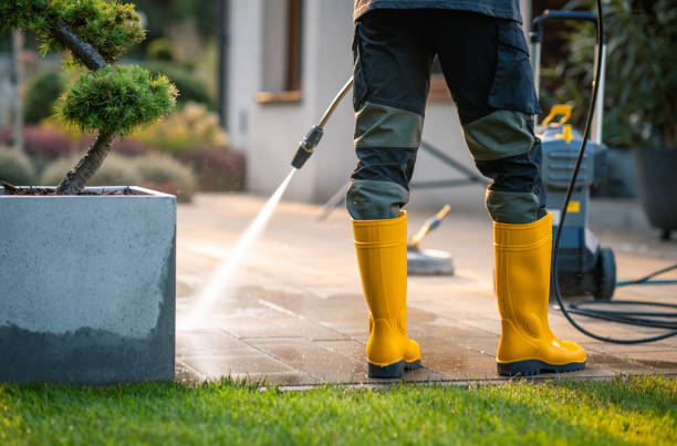Best Power Washing Near Me  in Fife, WA